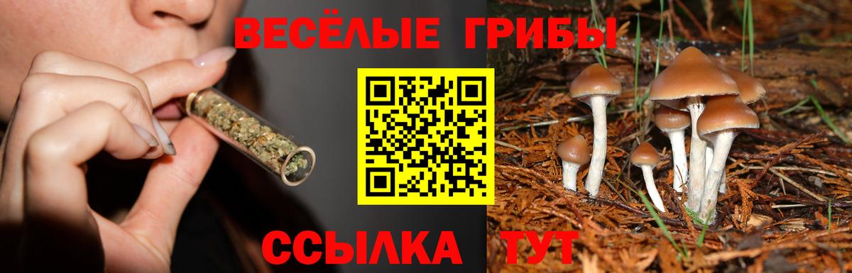 Псилоцибиновые грибы Cubensis  Вход с VPN  Псилоцибиновые грибы Magic Shrooms  Соликамск 